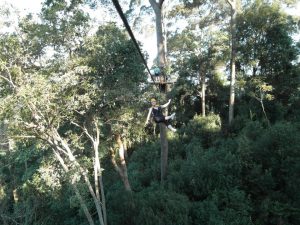 Ziplining through the Thailand Jungle